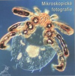 Mikroskopické fotografie